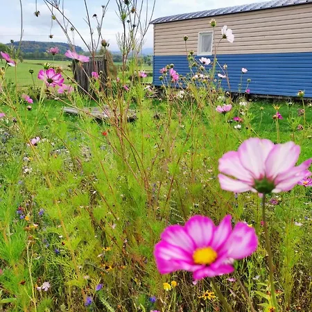 Insolite Au Coeur De L'auvergne *