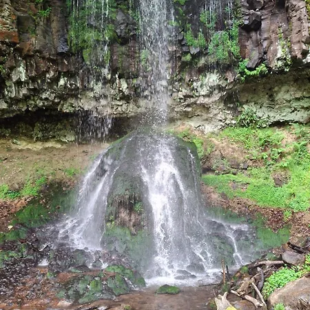 Insolite Au Cœur De L'auvergne *